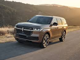 Image result for Dark Brown 2025 Fleet