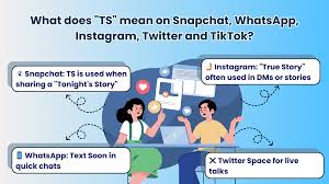 What does TS Mean in Text? Meaning, Usage, & Examples