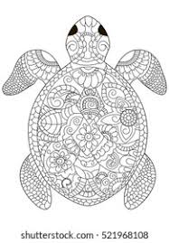 For boys and girls, kids and adults, teenagers and toddlers, preschoolers and older kids at school. Sea Turtle Coloring Book Adults Vector Stock Vector Royalty Free 521968108