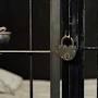 Profile Picture of Dateline NBC: Where is Nicholas Holbert now? - Sportskeedaon Google