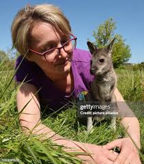 56 Fuchs Samuel Stock Photos, High-Res Pictures, and Images