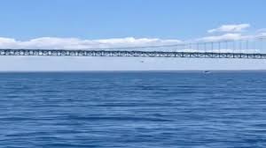 Left off the safer america list, the willow island disaster of 1978 caused the deaths of 51 workers. Police Would Like A Word With The Pilot Who Flew A Plane Underneath The Mackinac Bridge