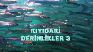 Deli Mi Ne Ile Kiz Kulesi Dalisi Youtube