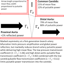Calvet died in the 17. Wave Reflection At The Origin Of A First Generation Branch Artery And Target Organ Protection Hypertension