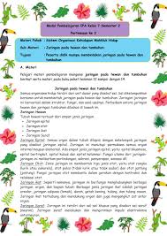 Maybe you would like to learn more about one of these? Ejercicio De Ipa Kelas 7 Semester 2 Minggu 3