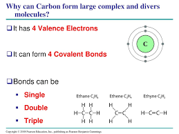 Hydrogen atoms in polar bonds within any molecule can form bonds with other adjacent molecules. Carbon And The Molecular Diversity Of Life Ppt Download
