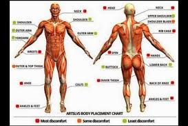 Here you can find 7 areas of your body that it's better to avoid tattooing. 33 Body Part For Tattoo