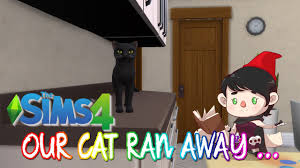 But there's no dating allowed!!! Meet The Robinsons Sims 4 Lp Episode 3 Our Cat Ran Away Other Big News Youtube