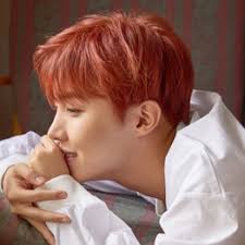 Bts debut sejak tahun 2013. Bts Members Profile Bts Group Biodata Bangtan Boys Members Profile