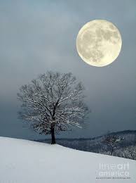 Winter S Moon By Laurinda Bowling Luna Hermosa Luna Lunera Claro De Luna
