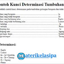 Untuk itu, marilah kita simak kebawah materinya. Dikotomi Adalah