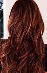 Go for the auburn side of the family. 20 Sexy Dark Red Hair Ideas For 2020 The Trend Spotter