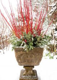 Mar 05, 2021 · they're some of the best plants for pots outdoors. How To Make Winter Garden Planters The Garden Glove
