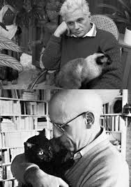 cool old photos of celebrities with their cats cats cat people old photos