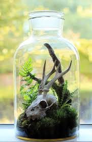 Jackalope Beautiful Terrariums Terrarium Diy Terrarium