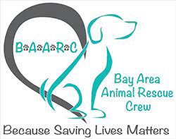 We provide care, medical treatment and behavioral assessment before finding them the loving homes and second chance they all deserve. Pet Adoption In Concord California Bay Area Animal Rescue