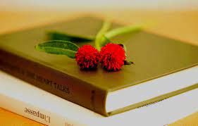 Use them in commercial designs under lifetime, perpetual & worldwide rights. Books And Flowers Wallpapers Top Free Books And Flowers Backgrounds Wallpaperaccess