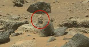 Nasa's perseverance mars rover has touched down on the red planet to search for past signs of life and water. Conspiracy Theorists Claim To Have Spotted Ancient Martian Soldier Left Frozen On Mars In Photos Taken By Curiosity Rover