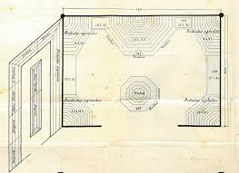 Image result for Tinnea antiscorbutica