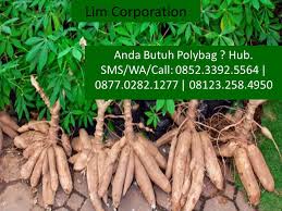 Check spelling or type a new query. Tips Budidaya Tanaman Ubi Kayu Lim Corporation
