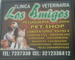 Veterinaria Los Amigos