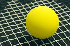 Frontenis Definicao E Significado Dicionario Ingles Collins
