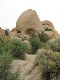 Skull Rock Joshua Tree National Park California Day Trip Places To Go Joshua Tree National Park
