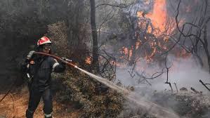 Μεγάλη φωτιά τώρα στη σαλαμίνα 25/07/2021 14:12 σον πεν: Fwtia Sth Xio Entolh Ekkenwshs Xwrioy Megalh Kinhtopoihsh Ths Pyrosbestikhs Cnn Gr