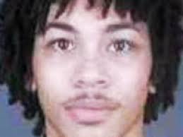 Bridge jumper pleads guilty to gun charge