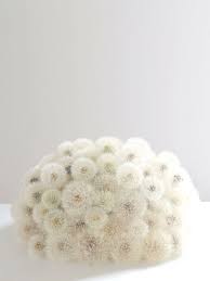 Pin On Sunflowers And Dandelion Fluffs My Happy Place