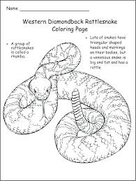 Rattlesnake Coloring Page Snake Coloring Pages Coloring Pages Tractor Coloring Pages