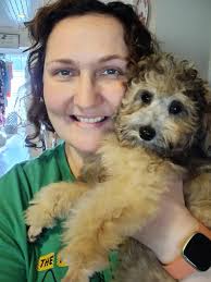 Mr. Oliver with his first grooming. Shots complete and spa day was a  success.#19weeks