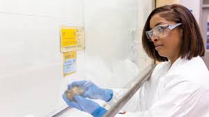 نتیجه جستجوی لغت [scientists] در گوگل