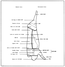 57 Particular Bacon Processing Flow Chart