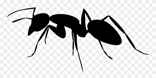 Classroomclipart is another fabulous free clipart sites for teachers. Ant Black And White Ant Clipart The Ant Silhouette Png Transparent Png 130389 Pinclipart