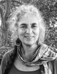 Neighbors oppose scope and scale of Rex Avenue development plan