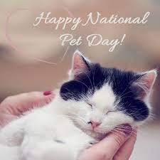Today, in honor of national pet day, fox 8 wants to see your pets in action. National Pet Day Claws N Paws Animal Hospital