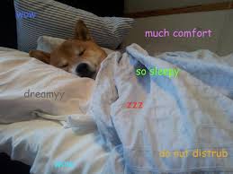 Последние твиты от snoop dogg (@snoopdogg). Image 704700 Doge Know Your Meme