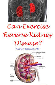 Foods That Aid Kidney Function Kidney Disease Liver Disease Symptoms Kidney Disease Symptoms