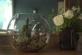 Mini Desert Terrarium Terrarium Beautiful Terrariums Succulent Terrarium
