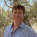 Seven-spot ladybird: Coccinella septempunctata