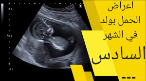 قد تسمعينه يصدر بعض الأصوات مثل ماما أو دادا. Ø£Ø¹Ø±Ø§Ø¶ Ø§Ù„Ø´Ù‡Ø± Ø§Ù„Ø³Ø§Ø¯Ø³ Ù…Ù† Ø§Ù„Ø­Ù…Ù„ Ø¨ÙˆÙ„Ø¯ 6 Ø£Ø¹Ø±Ø§Ø¶ ØªØ­Ø¯Ø« ÙÙŠ Ø§Ù„Ø´Ù‡Ø± Ø§Ù„Ø³Ø§Ø¯Ø³ Ù…Ù† Ø§Ù„Ø­Ù…Ù„