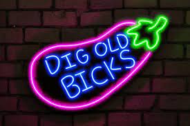 Pin By Steve Willette On The Fake Ah Crew In 2021 Neon Signs Custom Neon Signs Custom Neon Lights