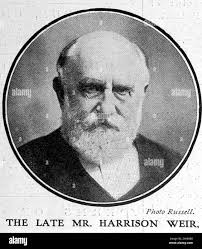 Mr harrison hi-res stock photography and images