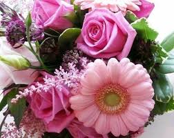 Lovely Flowers Images Free Download Flowers Pink Flowers Lovely Flowers Wallpaper