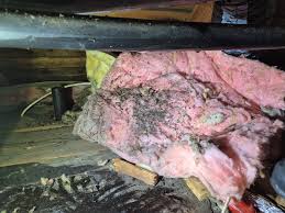 ABS pipes dripping into attic --- I noticed water dripping from the  bathroom ceiling, coming from the exhaust fan corners. It created a nice  6"x6" water puddle