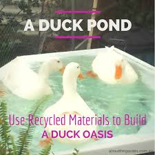 We did not find results for: How To Build A Duck Pond Using Recycled Materials To Build A Duck Oasis About The Garden Magazine