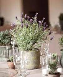 A Wedding Without Flowers Helen Carter Weddings Helen Carter Weddings Lavender Centerpieces Lavender Wedding Flowers Plant Centerpieces