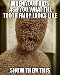 Little Misc Y Gallery Tooth Fairy Funny Memes Fairy