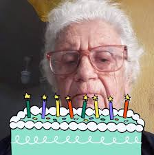 High protein food options